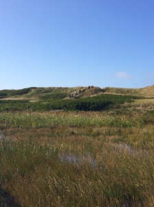 Dunes and stairs 3